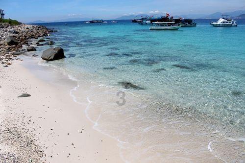 海口新海港增开新能源小车出岛专班